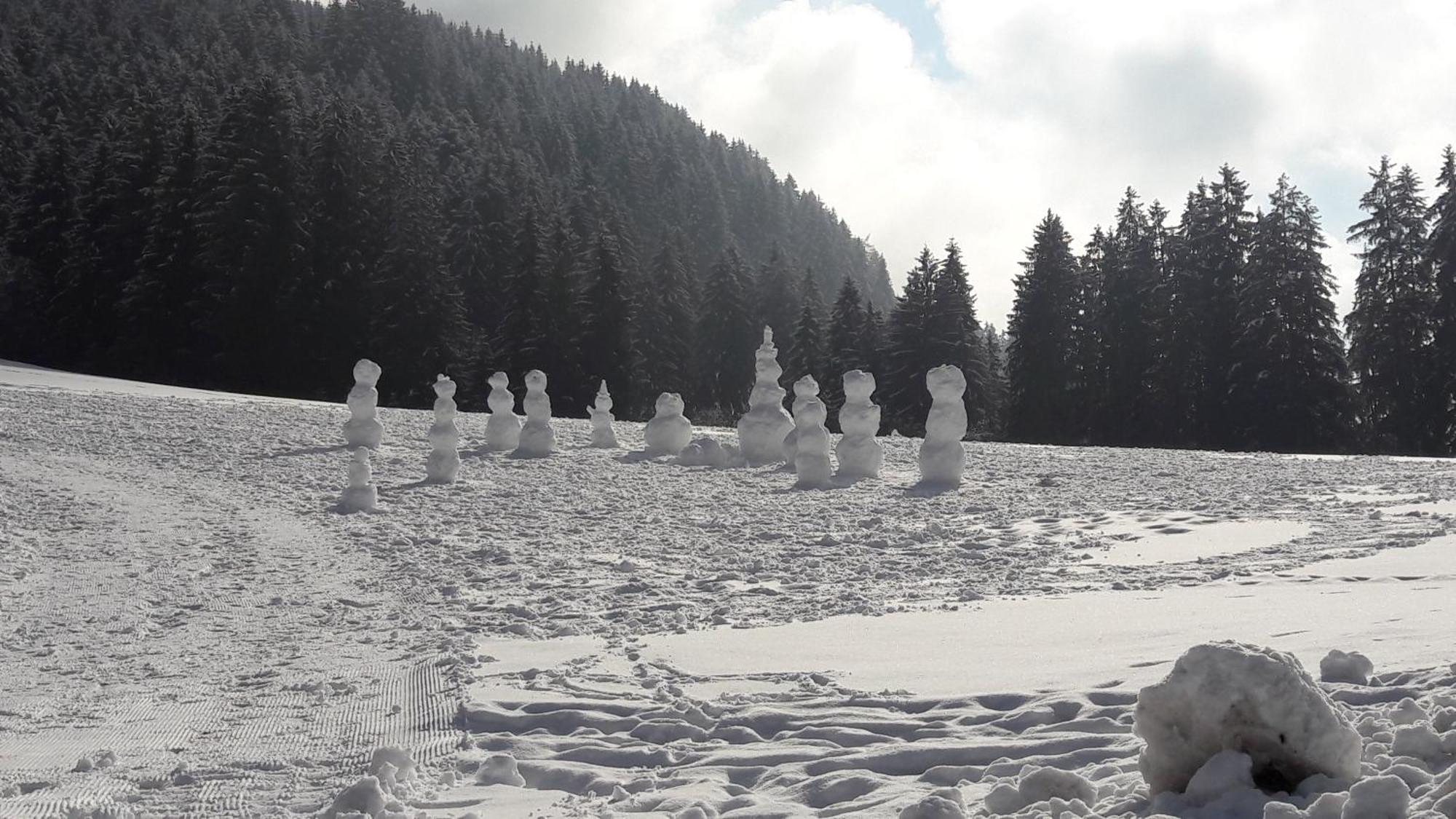 Appartements Alpenschloessl Oberau Exteriör bild